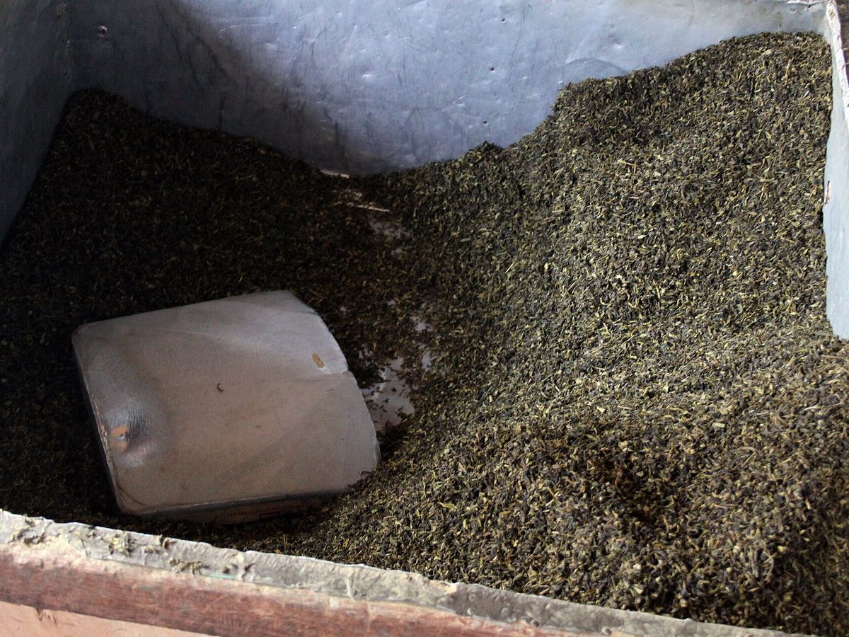 Darjeeling tea — loose leaves
